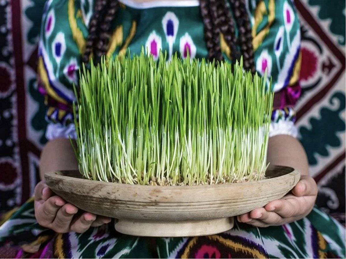 Sharmine Narwani tweet media