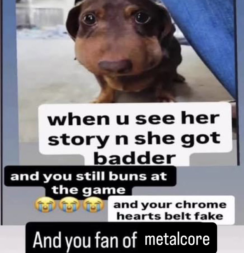 Chuck Francis tweet media