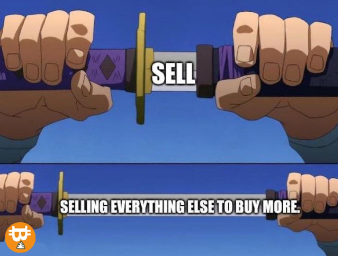 shitcoin™ tweet media