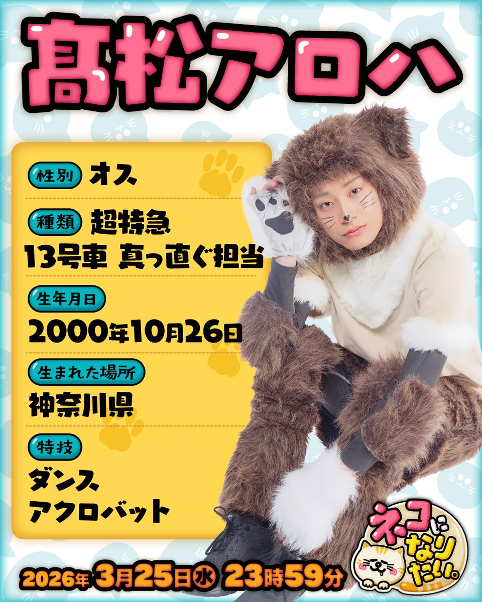 ネコになりたい。【公式】 tweet media