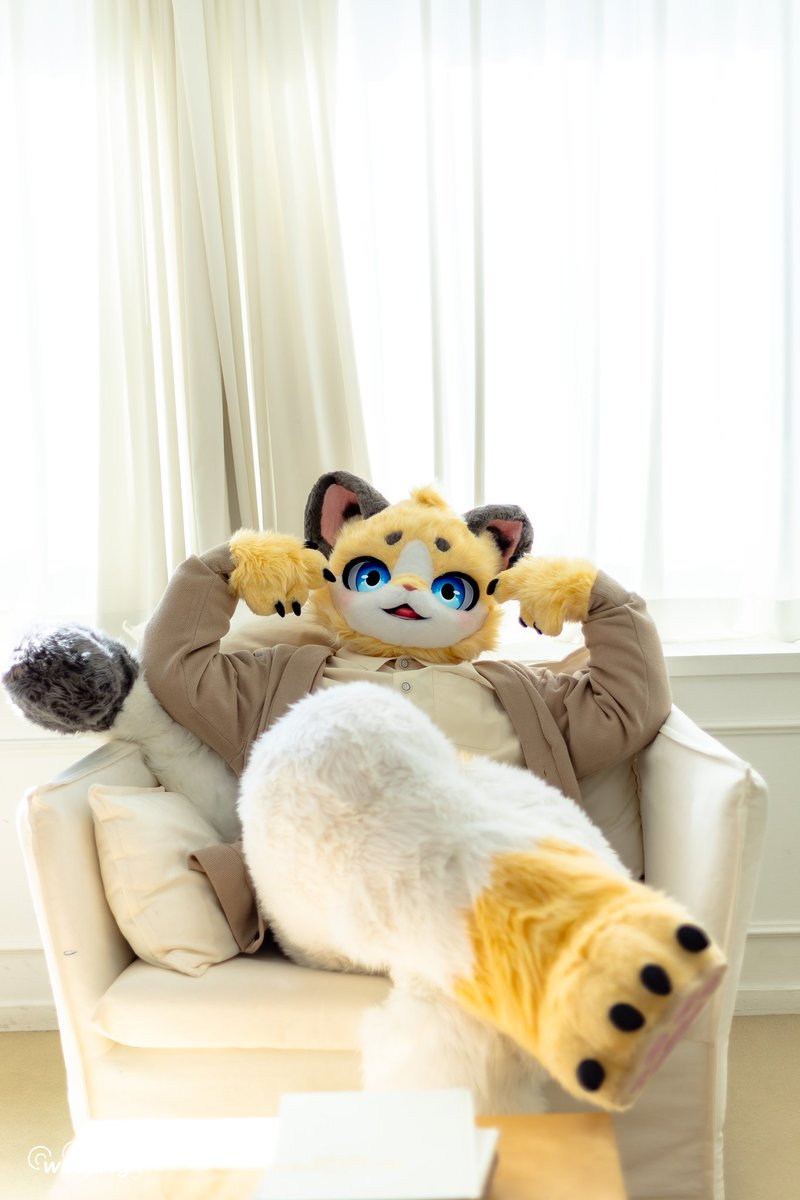 터리조아 tweet media