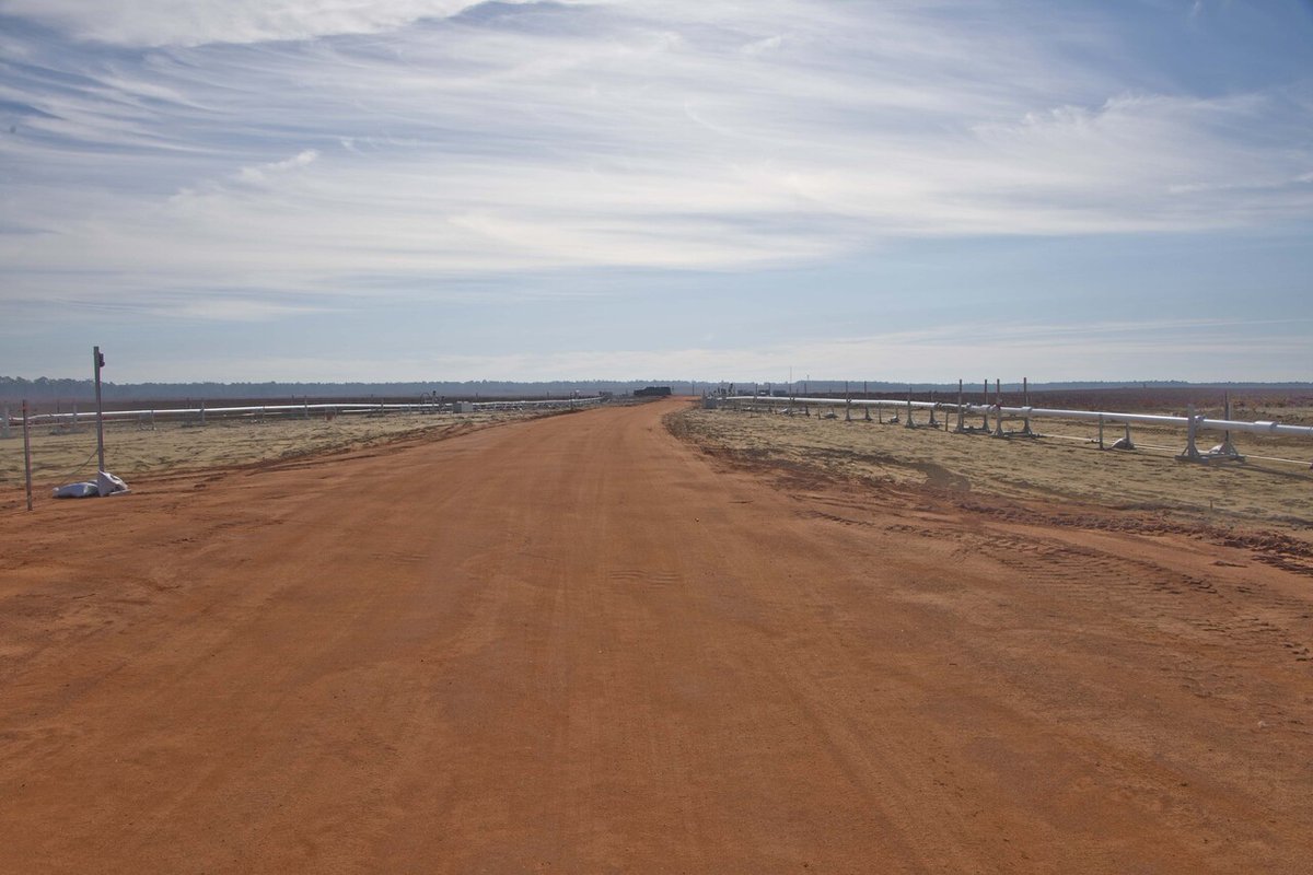 David Papp tweet media