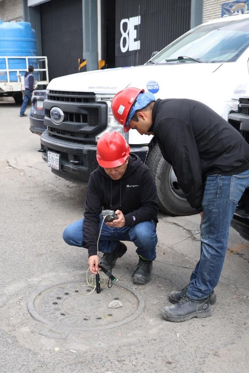 Wikichava tweet media