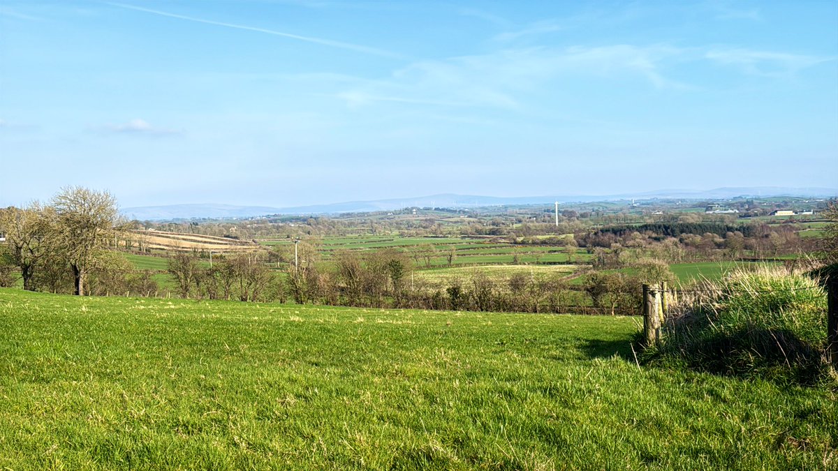 Tristan Morrow 🇬🇧☘️ tweet media