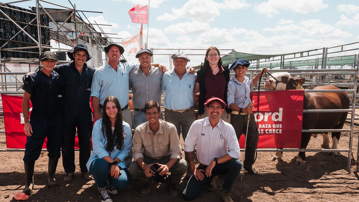 Braford Argentina tweet media