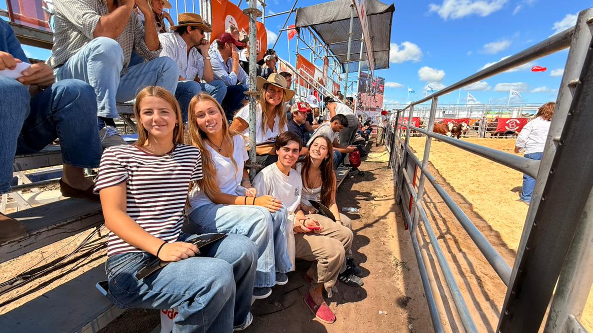 Braford Argentina tweet media