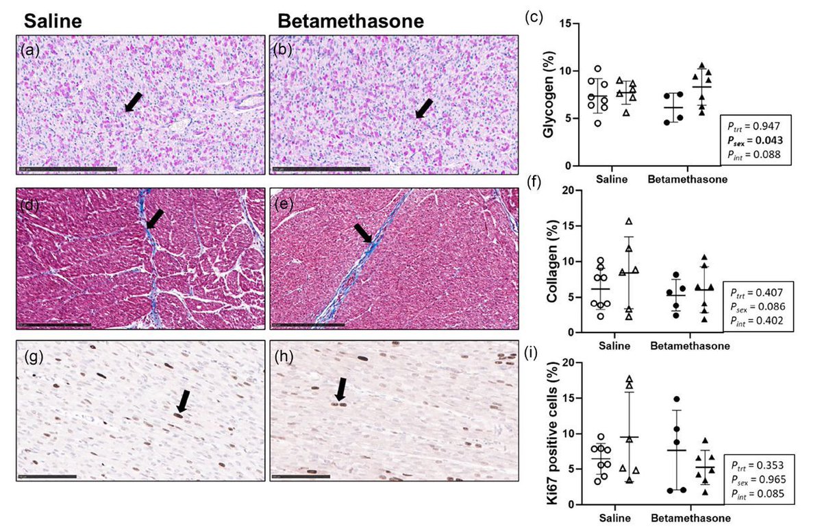 Experimental Physiology tweet media