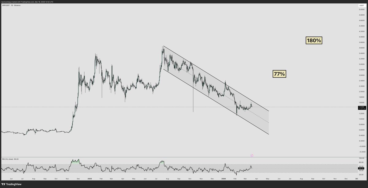 ray 🐂 tweet media