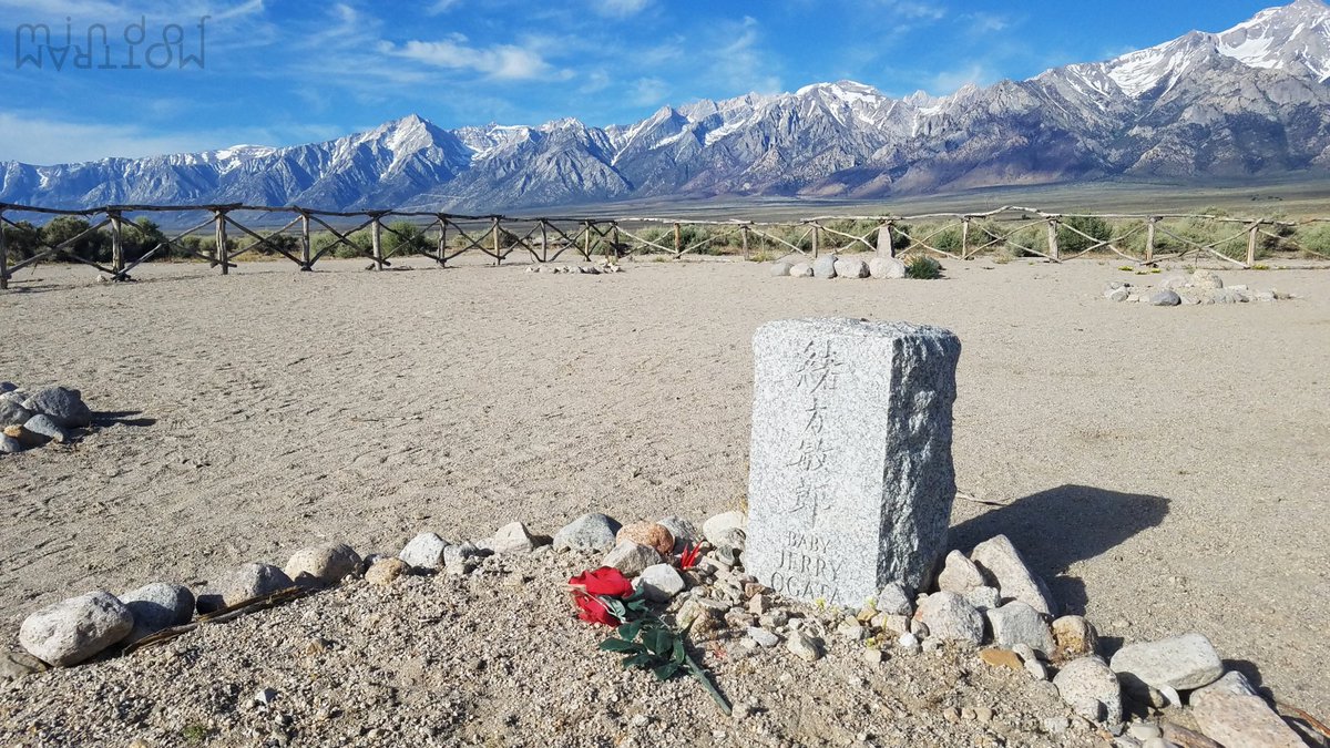 M O T T R A M tweet media