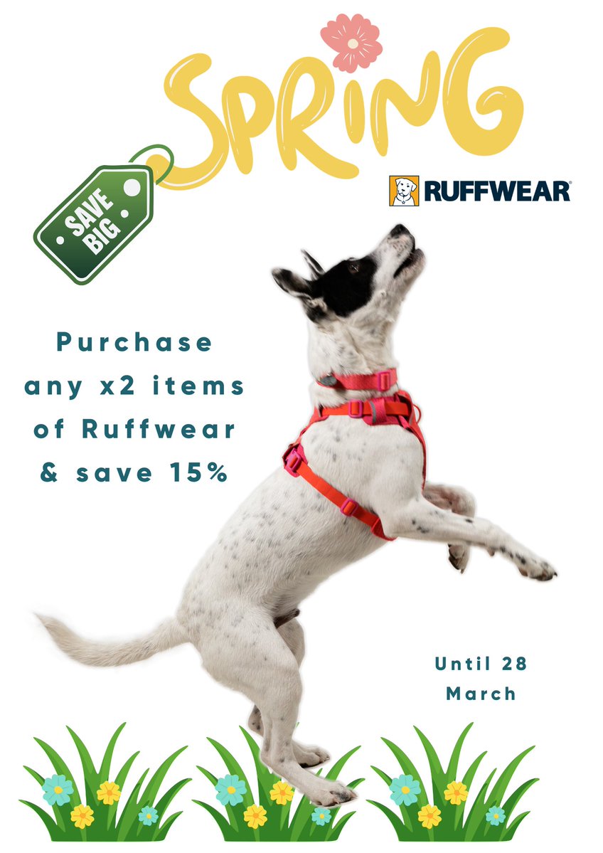 BeMoreBob tweet media