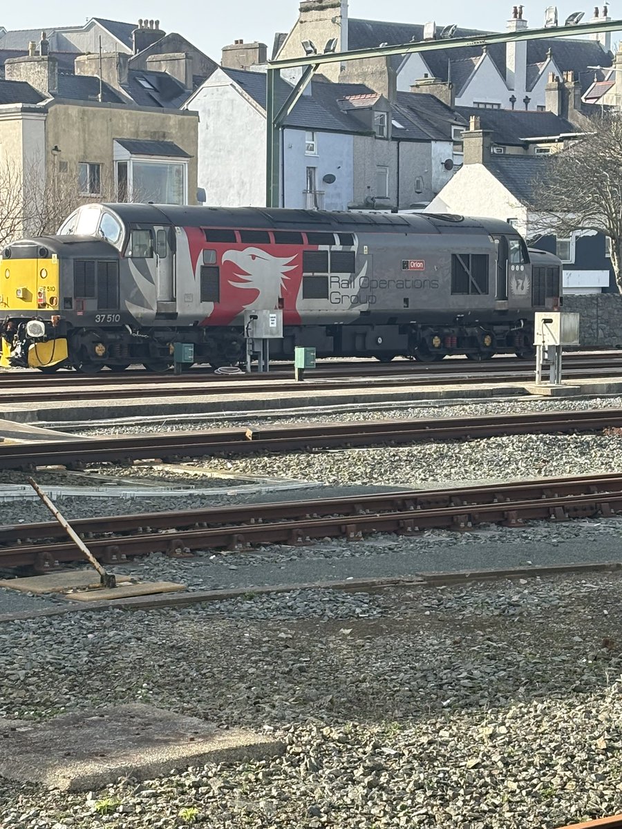 Griff Webber tweet media