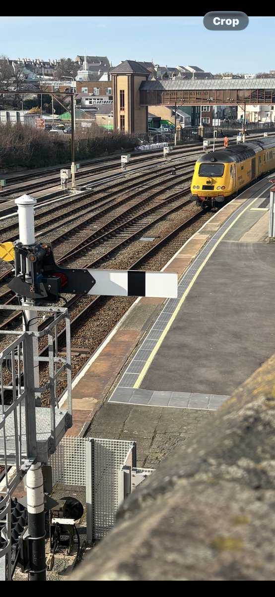 Griff Webber tweet media