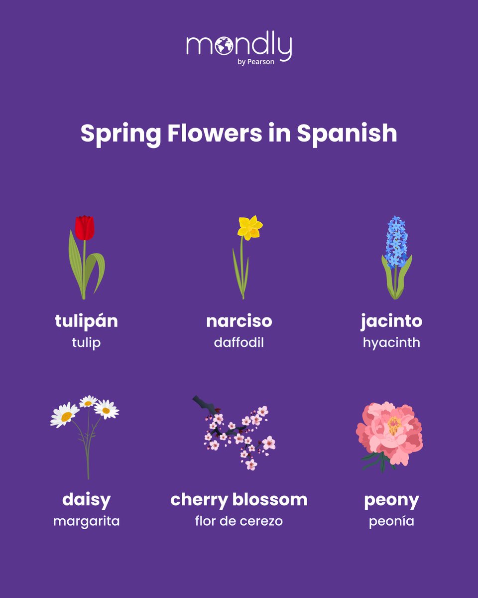 Mondly by Pearson tweet media