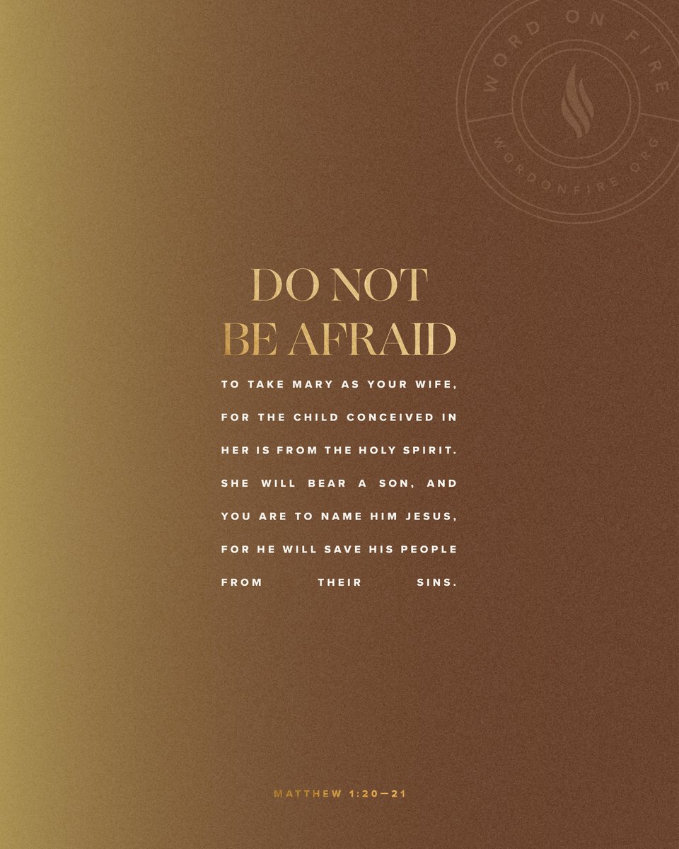 Bishop Robert Barron tweet media