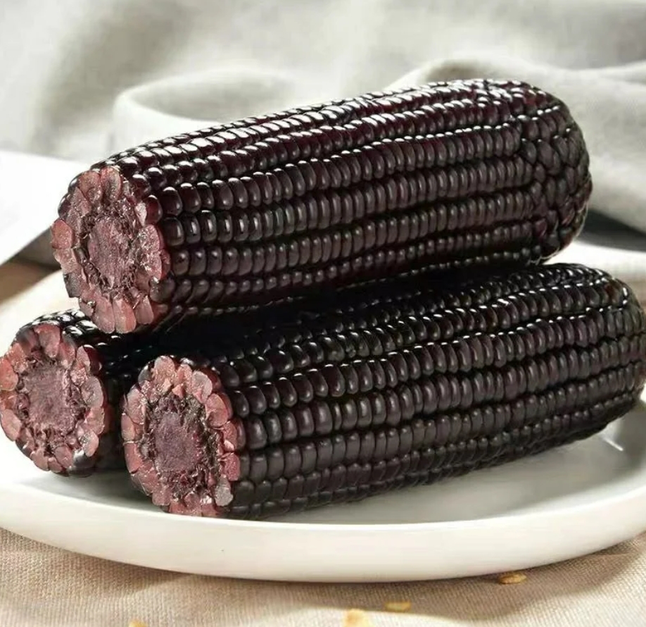 Nicola Haughie tweet media