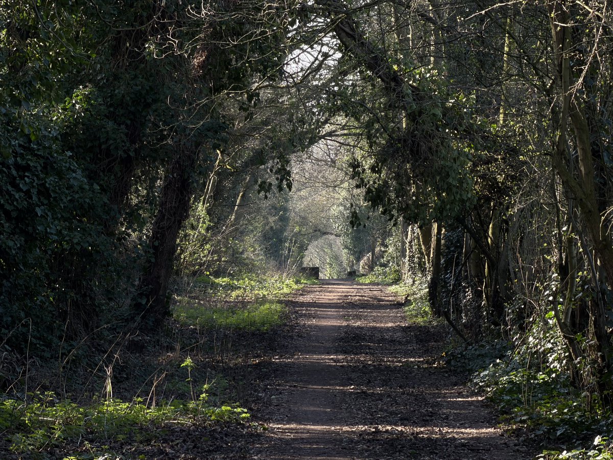 rly cool girl tweet media