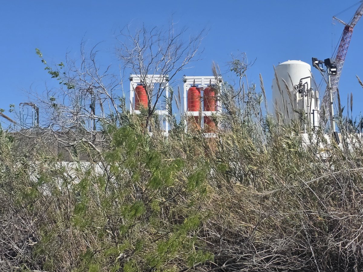 Travis Sorensen tweet media