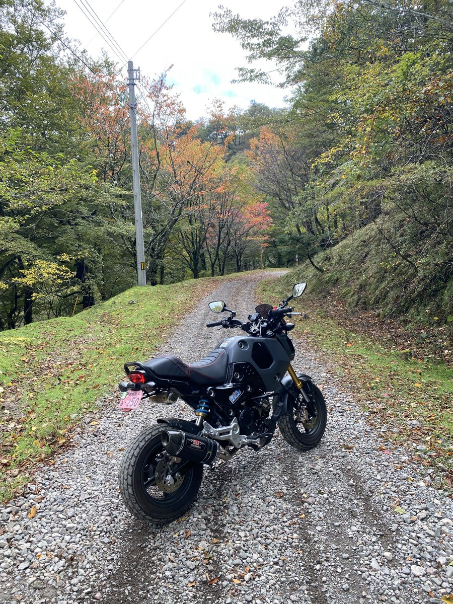 割と？どこでも会えるShima tweet media