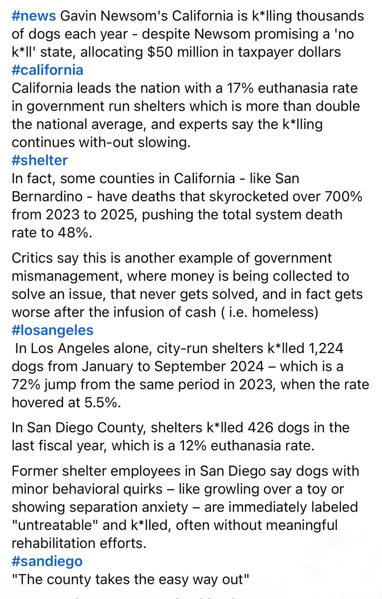 Courtney Galina ⚡️ tweet media