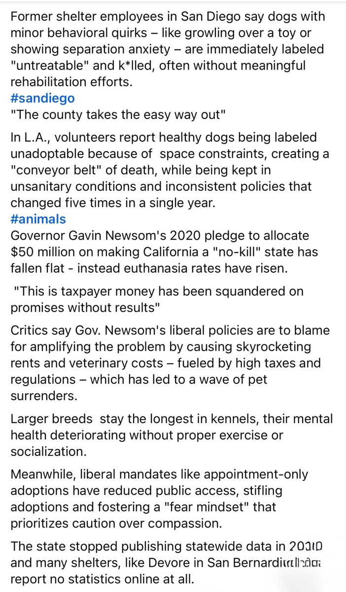 Courtney Galina ⚡️ tweet media