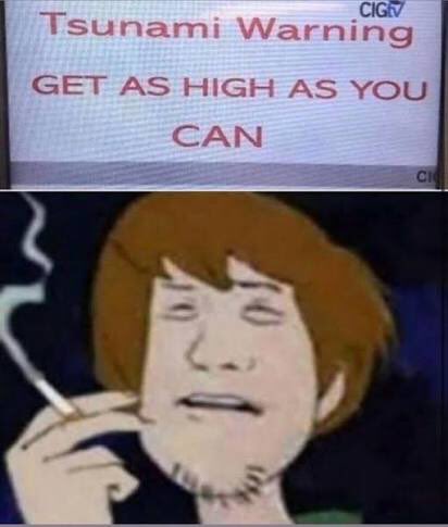 Kallitout tweet media