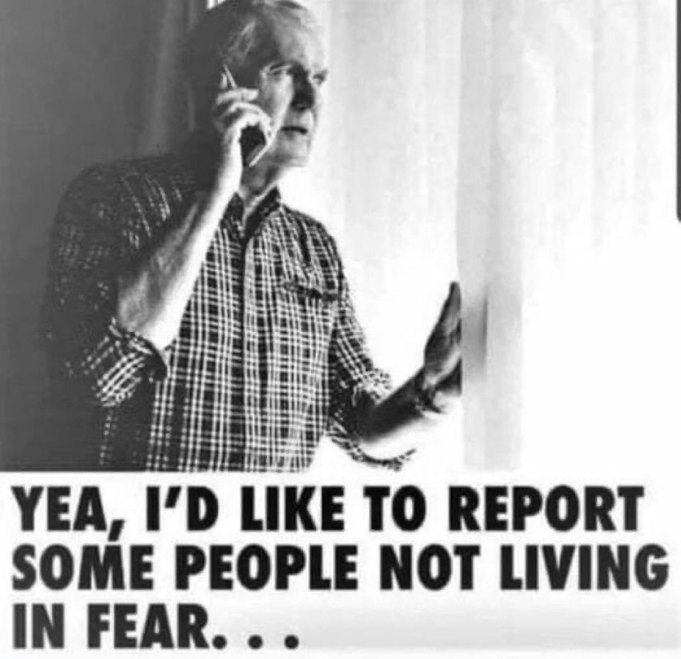 Silly Goose tweet media