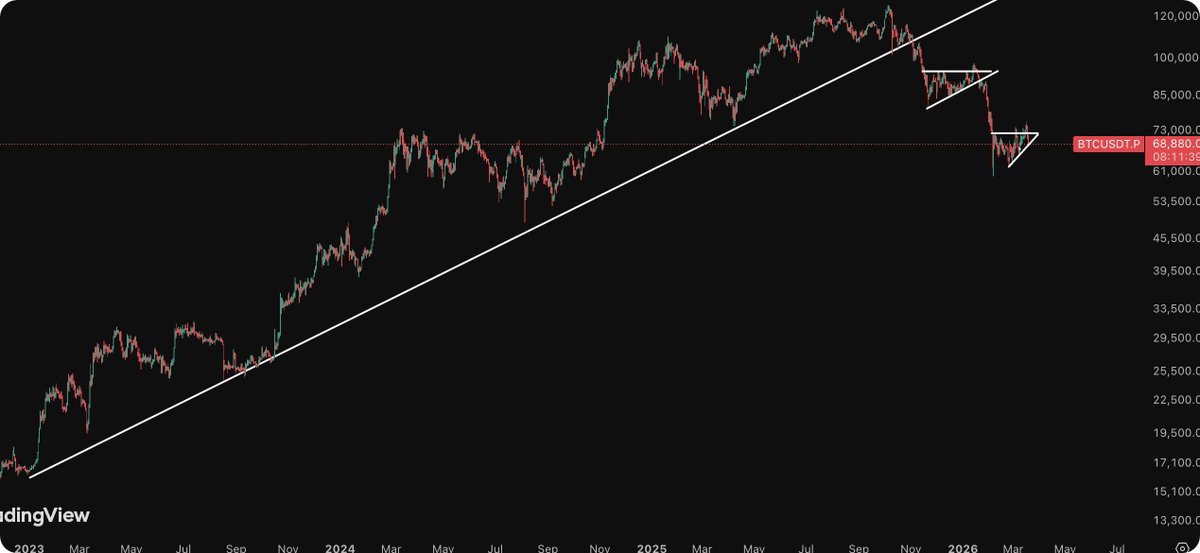 Theclues tweet media