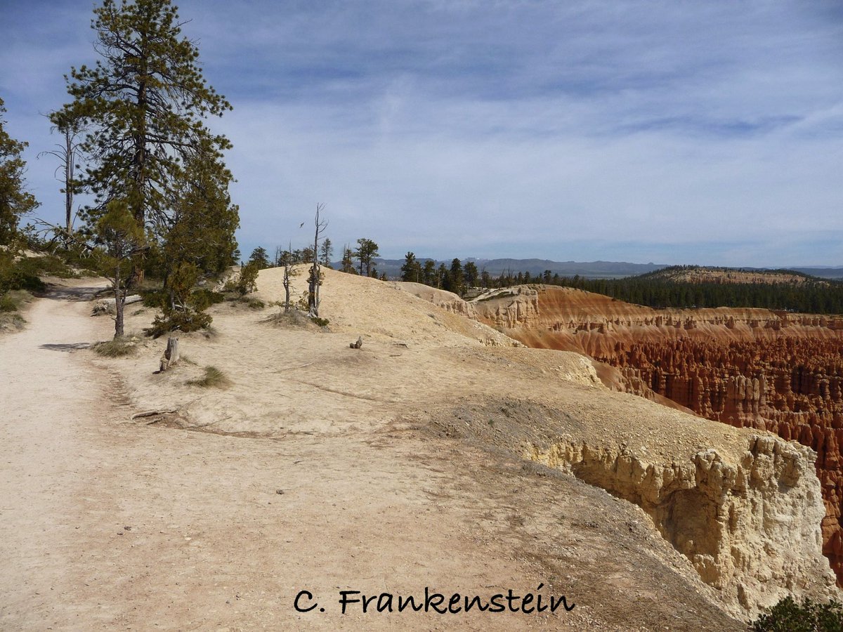 🩸 ᠻ𝕣ꪖꪀ𝕜ꫀꪀડ𝕥ꫀⅈꪀ 🩸 tweet media