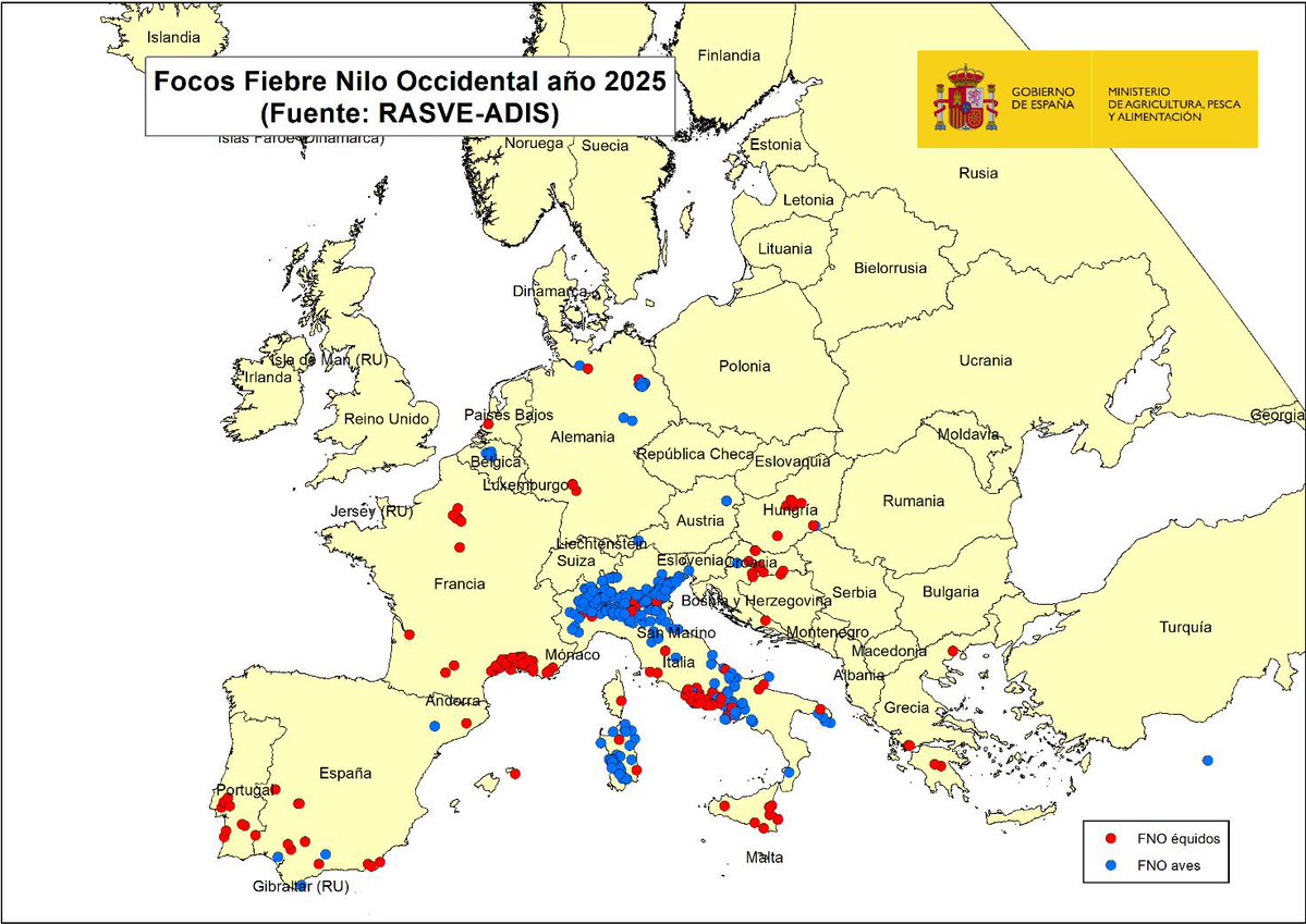 Rubén Bueno tweet media