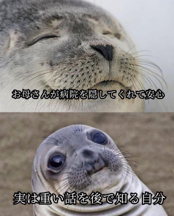 p DIDN’T tweet media