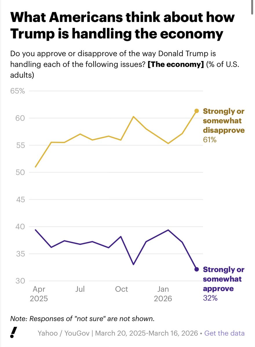 Steve Hou tweet media
