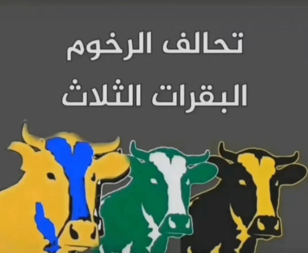 تركي الروقي +90وصيف العالم tweet media