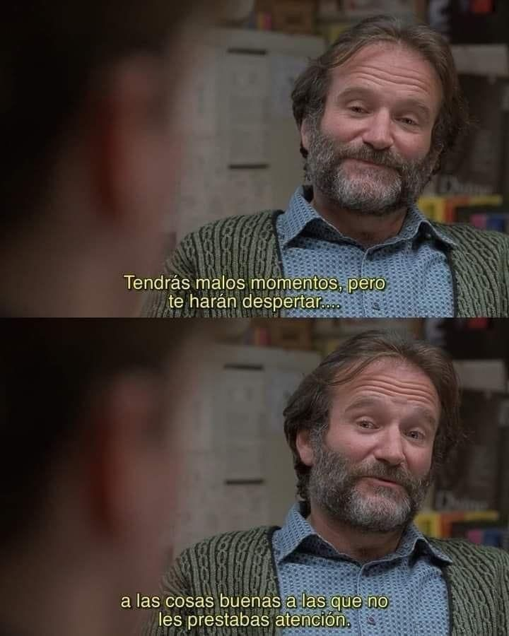 ElaineStark. tweet media