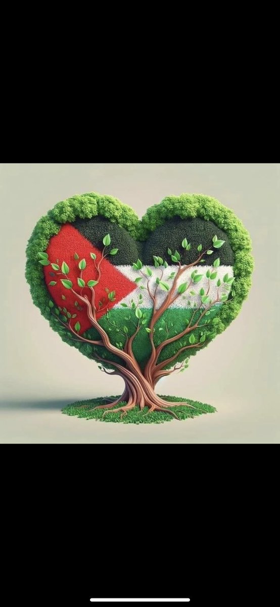 ♥️🇵🇸🇵🇸❤️A lover ♥️of homeless cats😻❤️🌱🌱👍🤗 tweet media