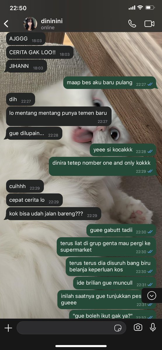 kerupuk udang tweet media