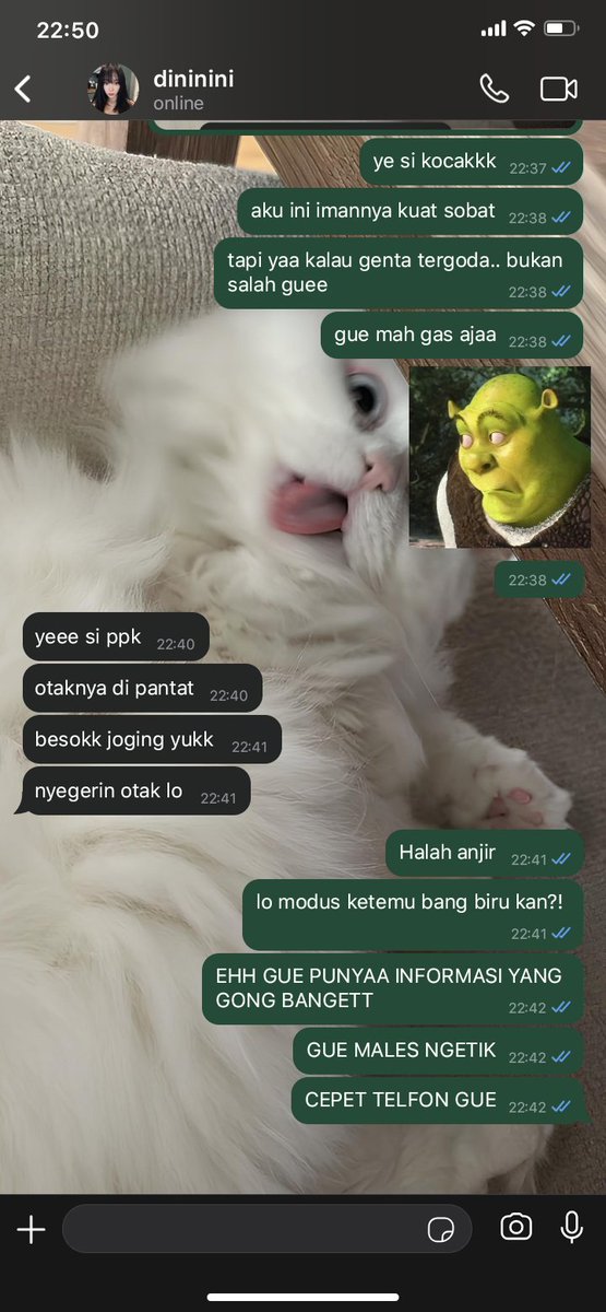 kerupuk udang tweet media
