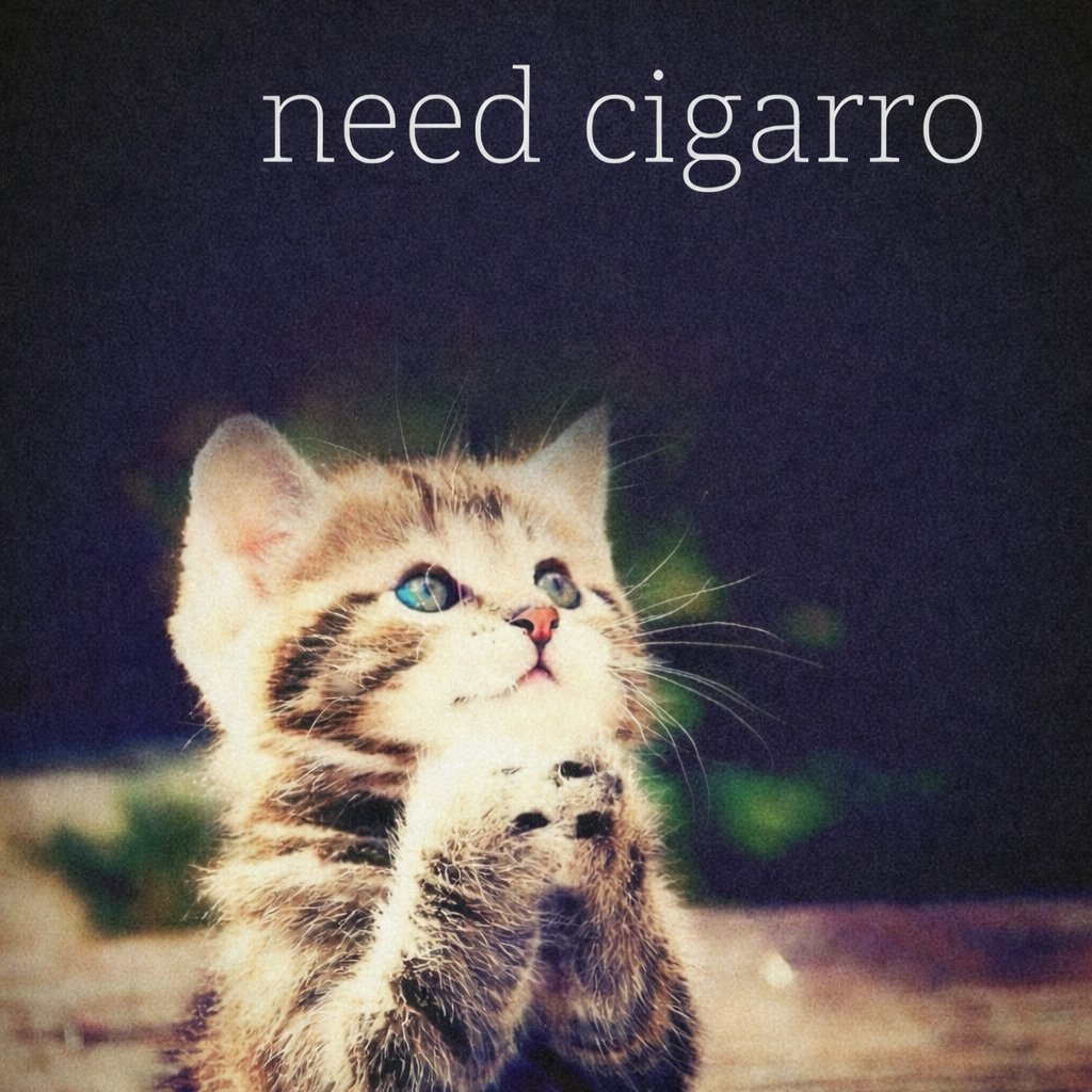 Fumador Licenciado tweet media