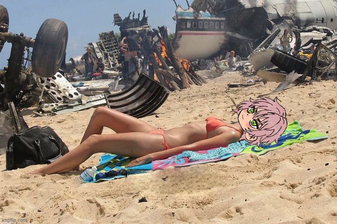 Lucia 🦊 tweet media