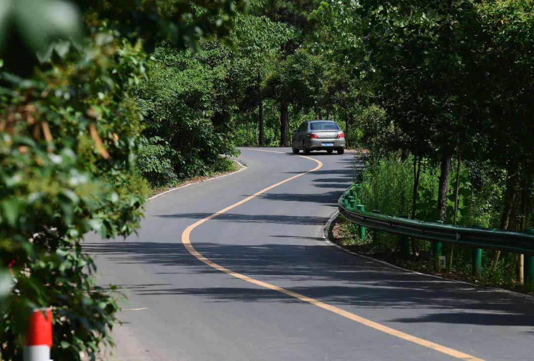 Cindi Zhao tweet media