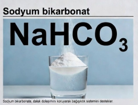 Ahmet Rasim Küçükusta tweet media