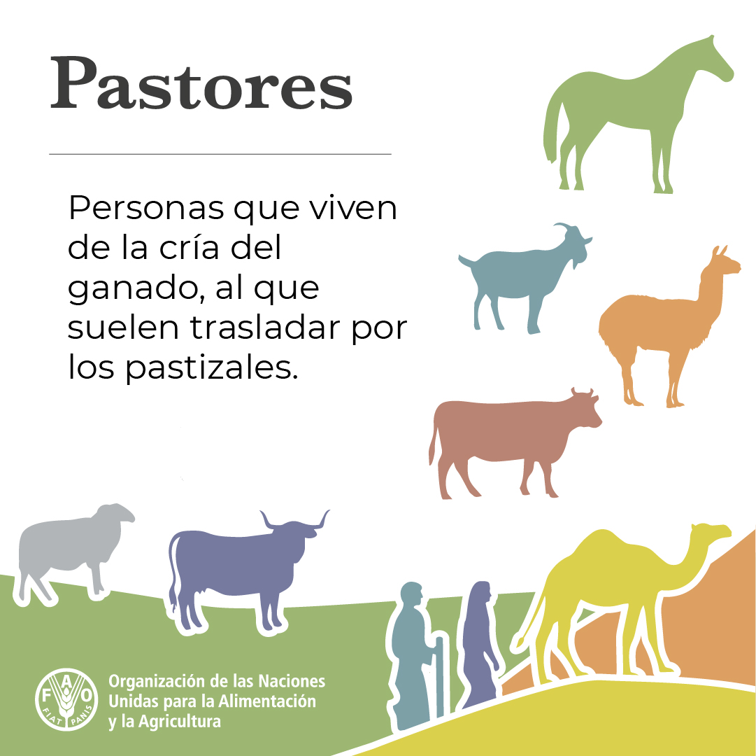 FAO en español tweet media