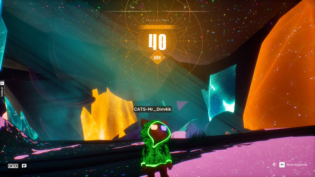 🎮Mr_Dim4ik 🎮 tweet media