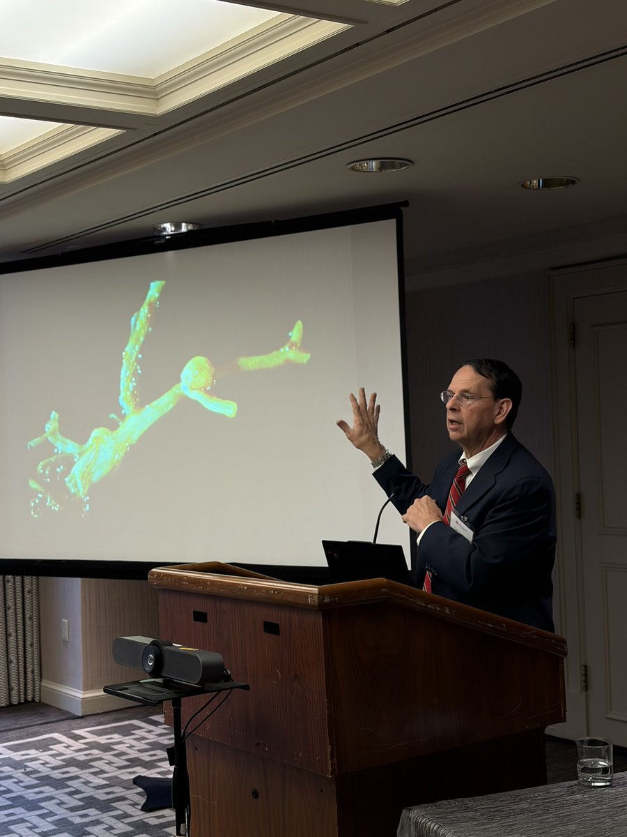 Brain Aneurysm Foundation tweet media