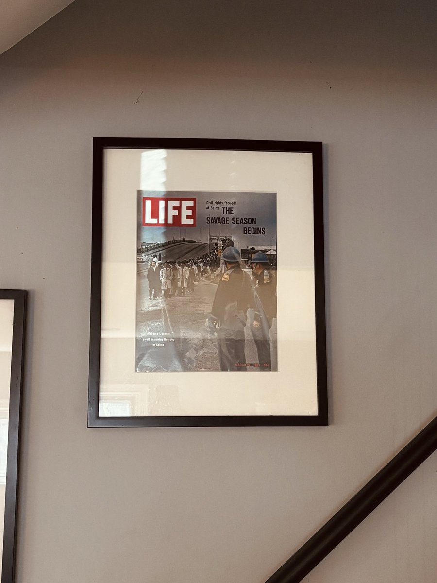 Markus Batchelor tweet media