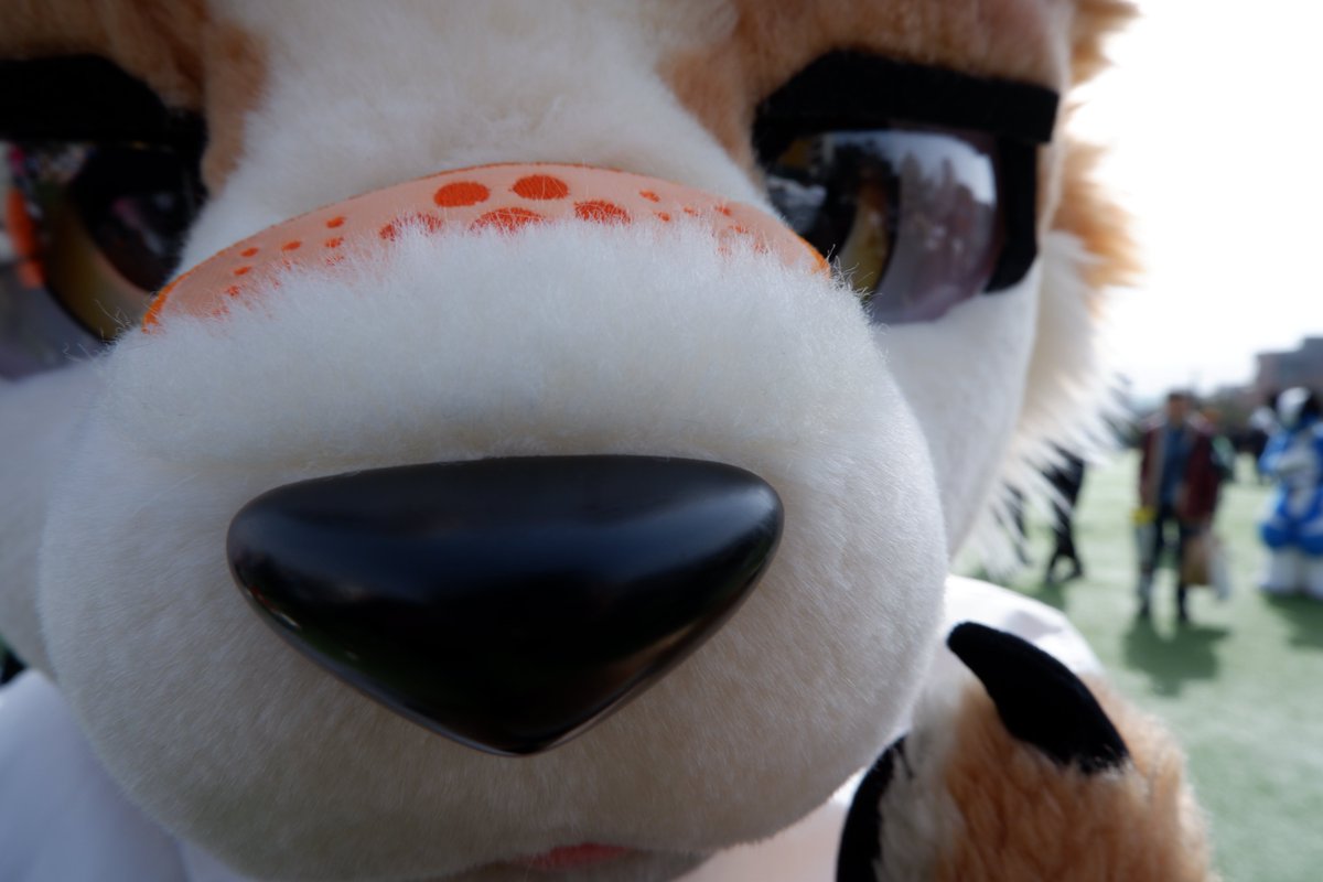 WOLFMAN🐺🐾 tweet media