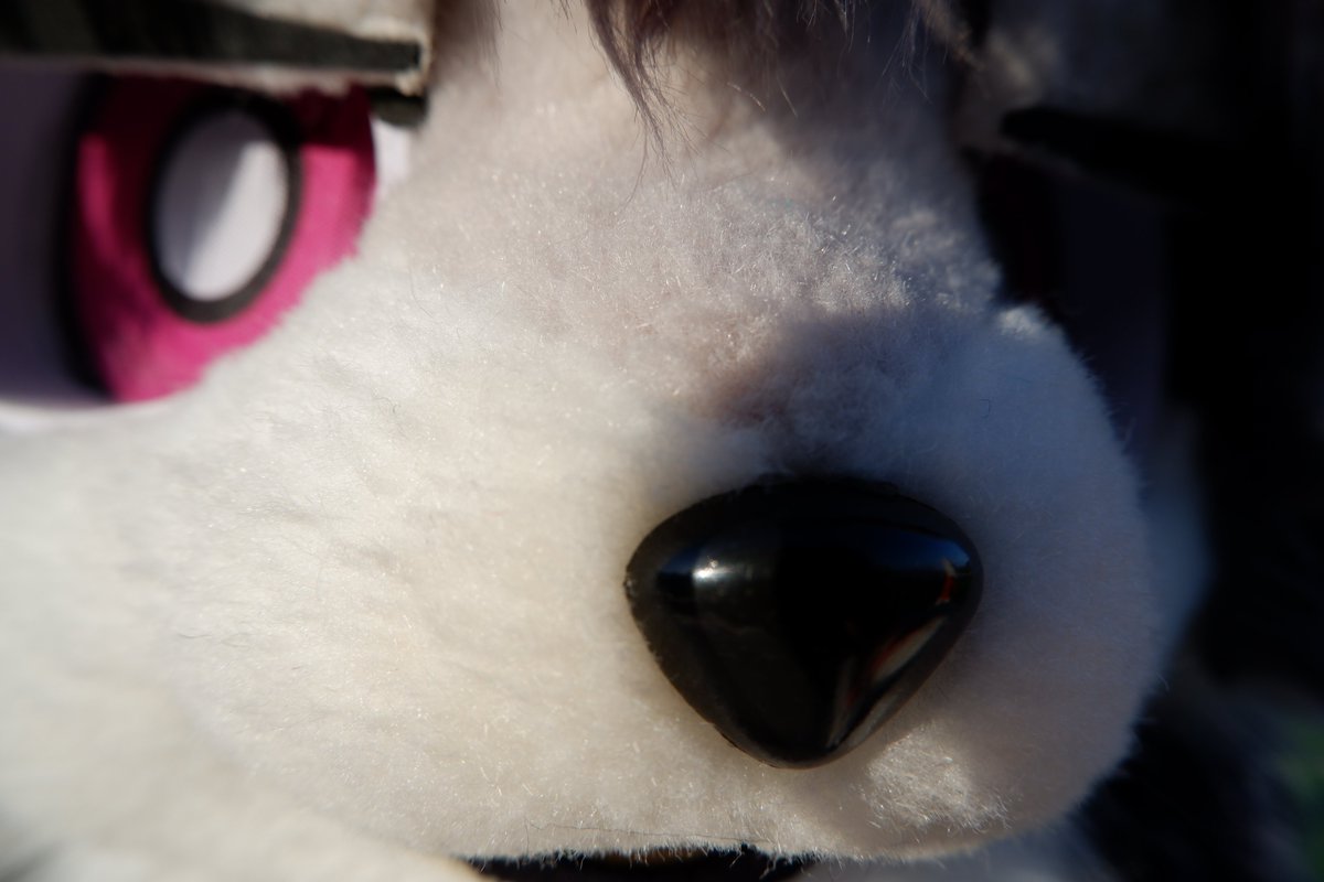 WOLFMAN🐺🐾 tweet media