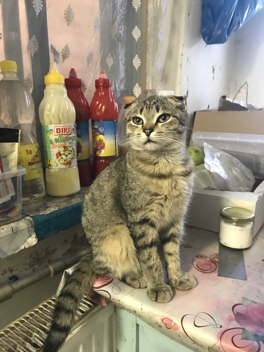 <a href="/LeskoKromplitz/">Lesko Kromplitz</a> <a href="/nu_a_sho/">✙Товстий кіт ꑭ✙</a> А та родина не хоче всиновити Аркадія?