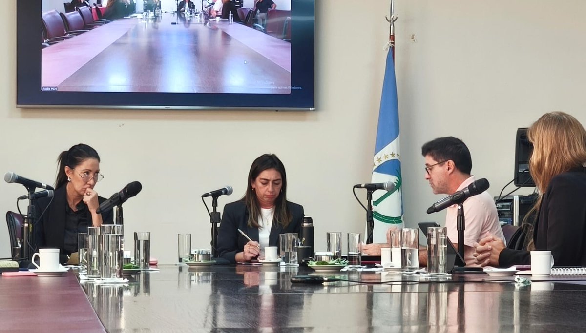 Geraneuquen's tweet image. #ComisiónD
Iniciamos el tratamiento del #Proyecto de #Ley que crea el Programa Provincial de Articulación entre Bibliotecas Populares y el Sistema Educativo para garantizar el acceso de los estudiantes a los libros y materiales bibliográficos que necesitan. 📚