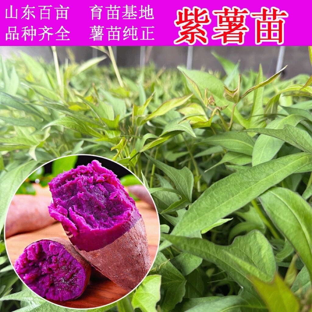 TRAY BRYANT tweet media