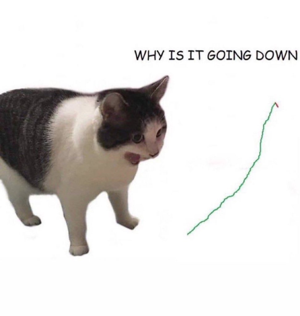 Autism Squared tweet media